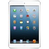 Apple iPad mini 16Gb Wi-Fi + Cellular белый - Петропавловск-Камчатский