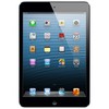 Apple iPad mini 64Gb Wi-Fi черный - Петропавловск-Камчатский