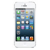 Apple iPhone 5 16Gb white - Петропавловск-Камчатский