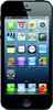 Apple iPhone 5 32GB - Петропавловск-Камчатский